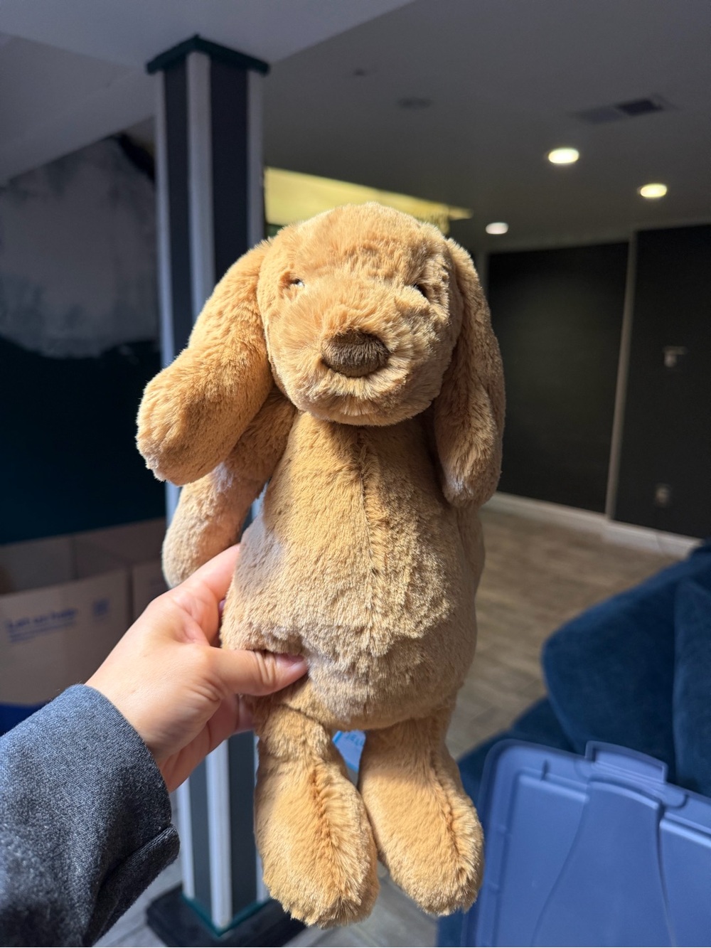 BNWT Toffee Puppy Jellycat